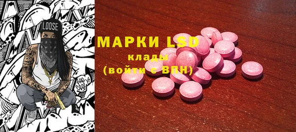 гашик Верея