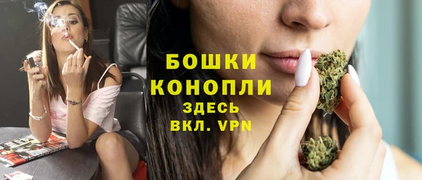 гашик Верея