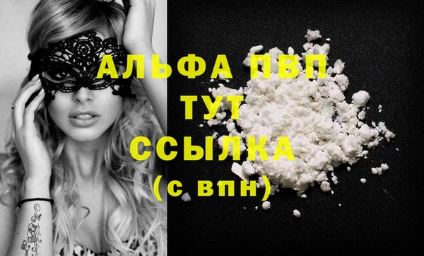 гашик Верея