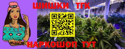 ешки Гай
