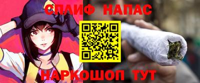 ешки Гай