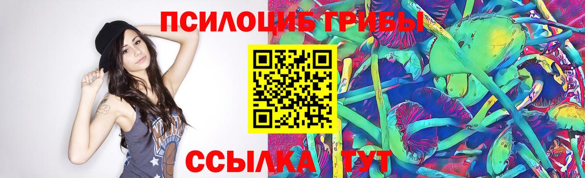 Галлюциногенные грибы Psilocybe Петропавловск-Камчатский