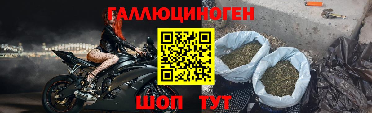 Петропавловск-Камчатский  Псилоцибиновые грибы мицелий  Вход с VPN 
